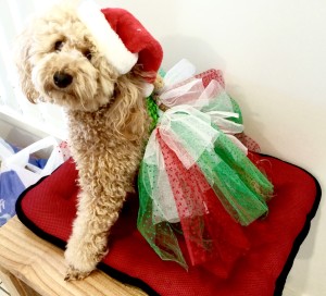 Christmas Dog Tutu