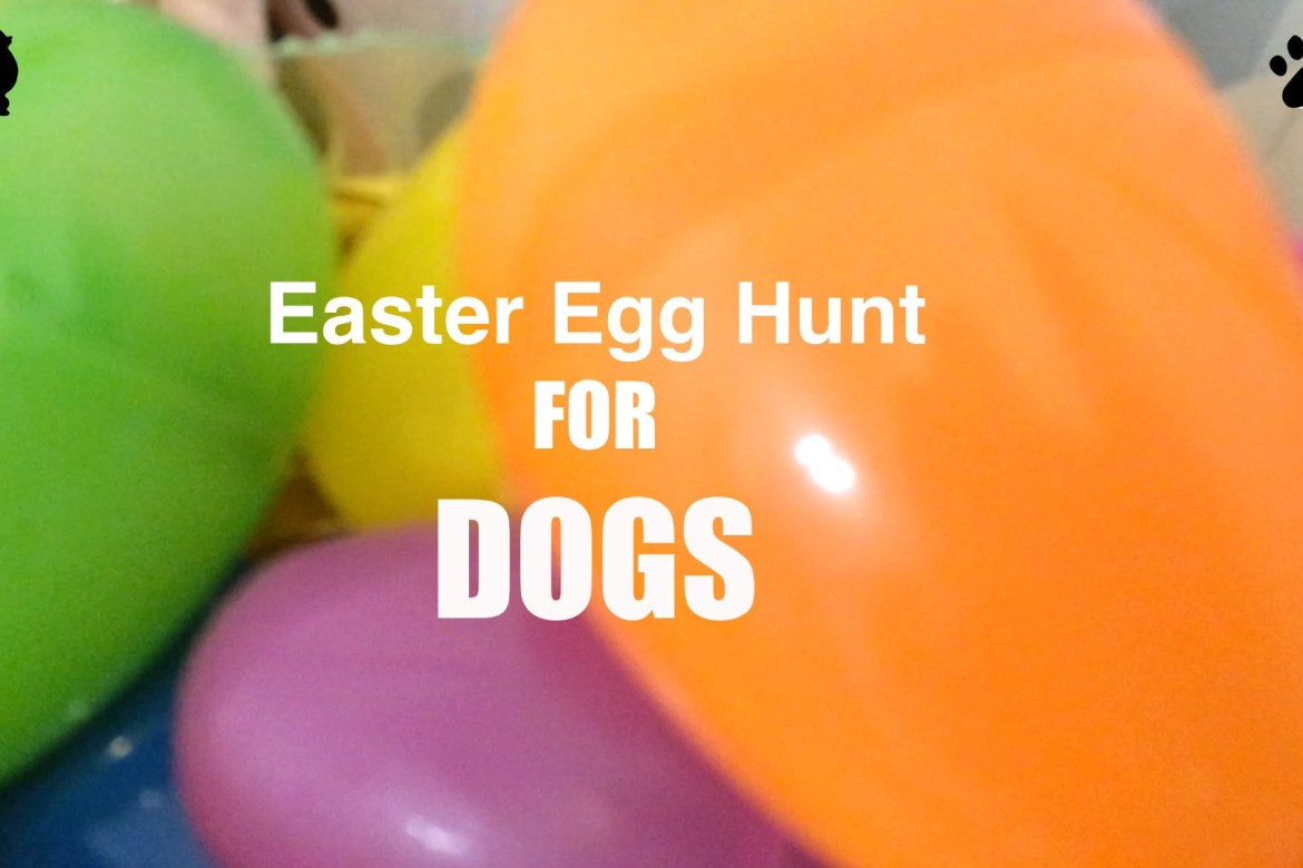 Easter Egg Hunt for Dogs.001